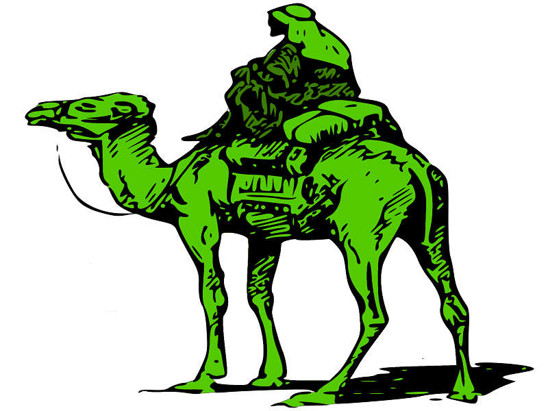 Silk Road Camel 