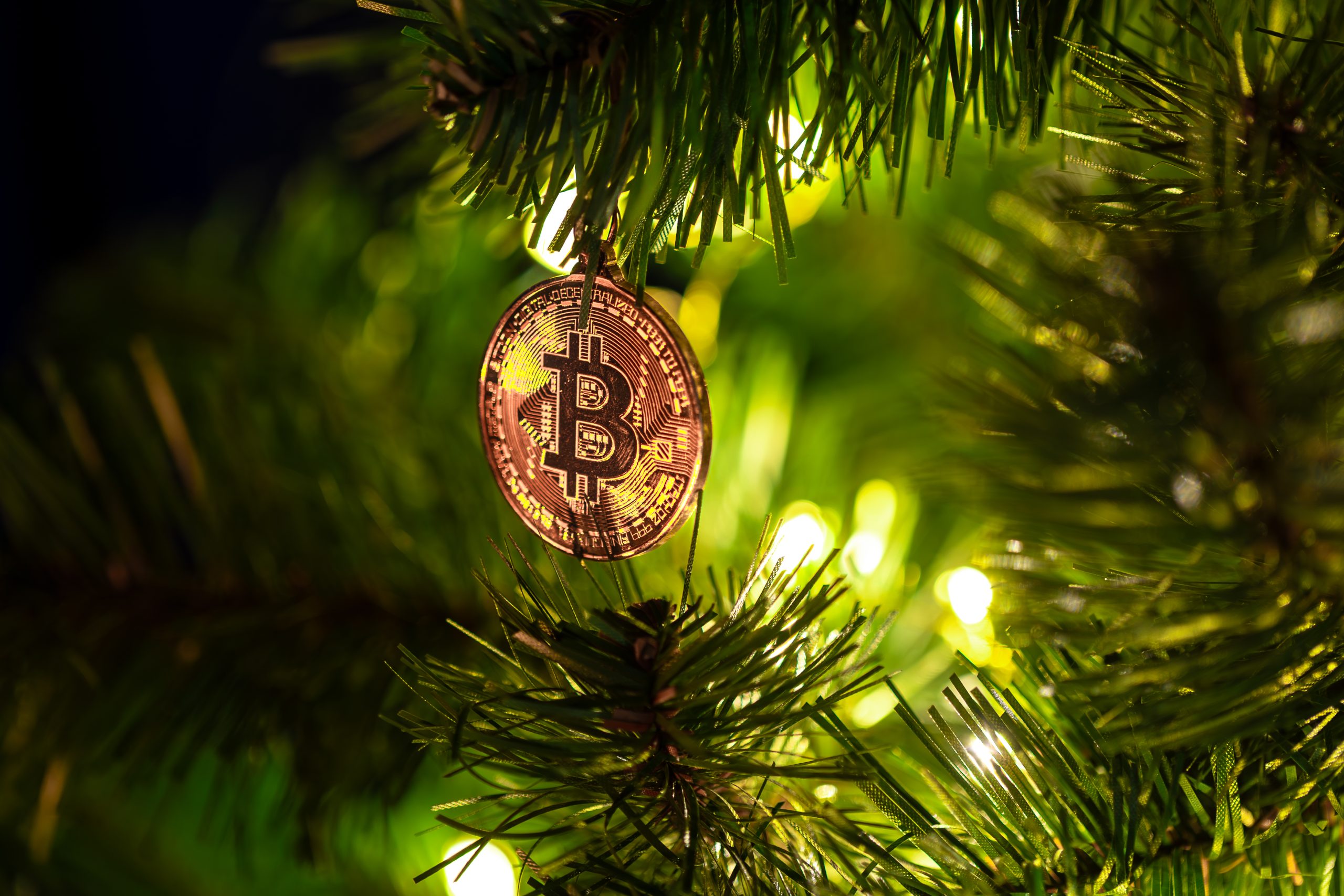 Real Environmental Cost of Crypto